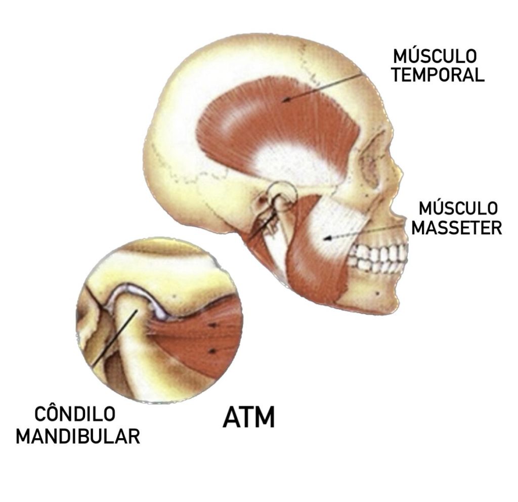 Referência em Bucomaxilofacial: ATM: Os principais sintomas das disfunções  da articulação temporomandibular (DTM)